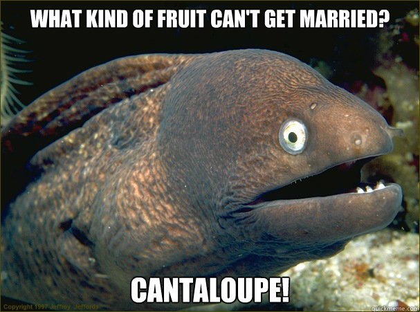 What kind of fruit can't get married? Cantaloupe!
  Bad Joke Eel