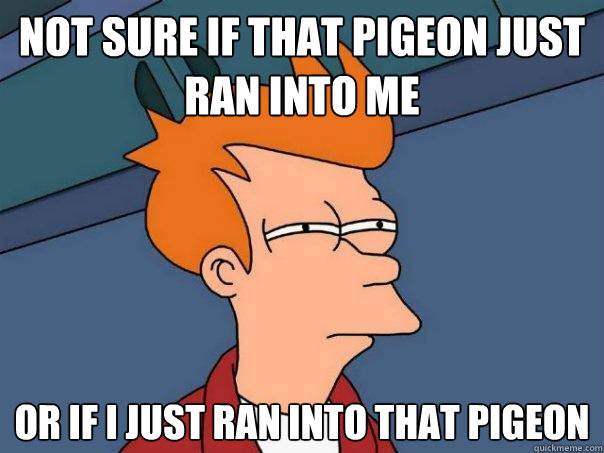 not sure if that pigeon just ran into me or if i just ran into that pigeon  Futurama Fry