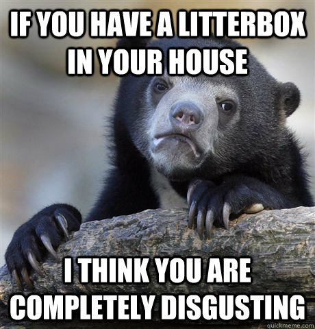 If you have a litterbox in your house i think you are completely disgusting  Confession Bear