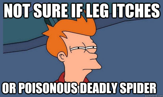 Not sure if leg itches or poisonous deadly spider  Futurama Fray