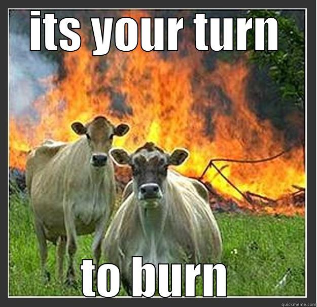 evil cows - ITS YOUR TURN TO BURN Evil cows