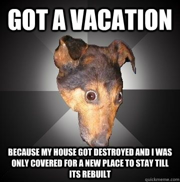 got a vacation because my house got destroyed and i was only covered for a new place to stay till its rebuilt  Depression Dog