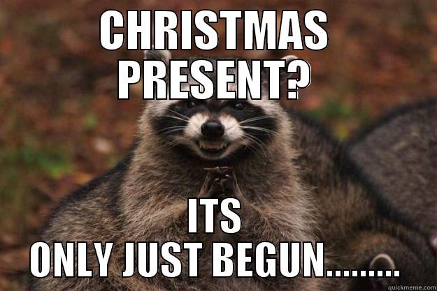 CHRISTMAS PRESENT? ITS ONLY JUST BEGUN......... Evil Plotting Raccoon