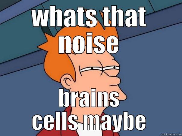 WHATS THAT NOISE BRAINS CELLS MAYBE Futurama Fry