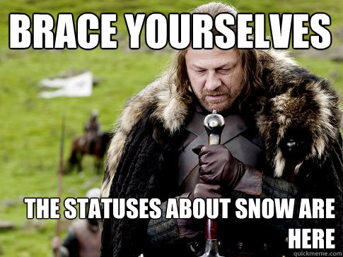 Brace yourselves The statuses about snow are here  Eddard Stark