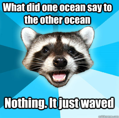 What did one ocean say to the other ocean Nothing. It just waved - What did one ocean say to the other ocean Nothing. It just waved  Lame Pun Coon