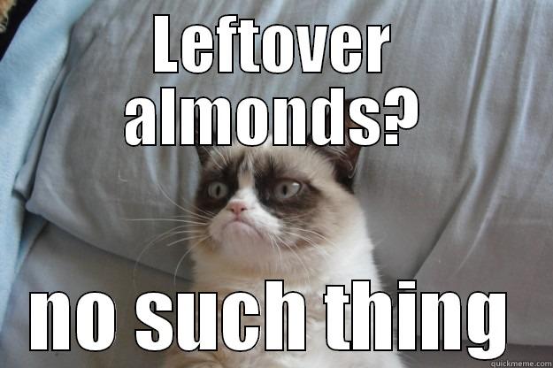 LEFTOVER ALMONDS? NO SUCH THING Grumpy Cat