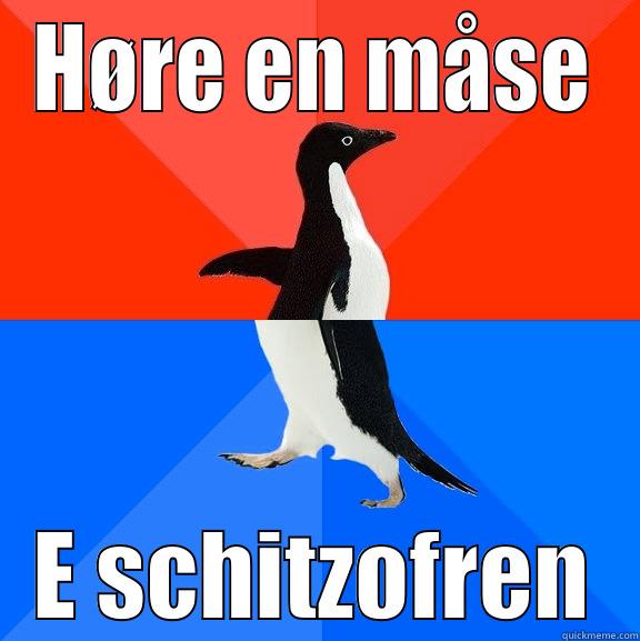 HØRE EN MÅSE E SCHITZOFREN Socially Awesome Awkward Penguin