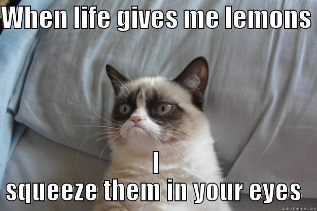 When life gives me lemons - WHEN LIFE GIVES ME LEMONS  I SQUEEZE THEM IN YOUR EYES  Grumpy Cat