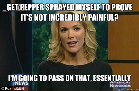 Get pepper sprayed myself to prove it's not incredibly painful? i'm going to pass on that, essentially  Megyn Kelly