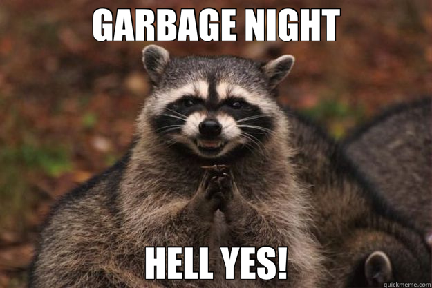 GARBAGE NIGHT HELL YES! - GARBAGE NIGHT HELL YES!  Evil Plotting Raccoon