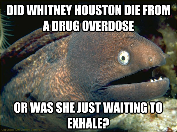 Did Whitney houston die from  a drug overdose or was she just waiting to exhale? - Did Whitney houston die from  a drug overdose or was she just waiting to exhale?  Bad Joke Eel