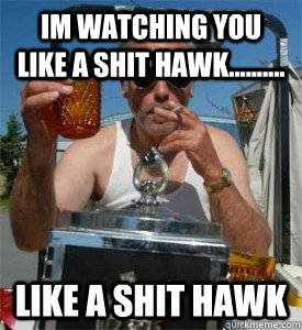 im watching you like a shit hawk.......... like a shit hawk - im watching you like a shit hawk.......... like a shit hawk  Jim Lahey