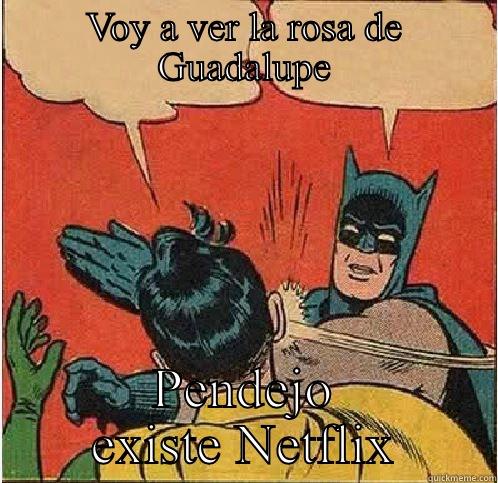 VOY A VER LA ROSA DE GUADALUPE PENDEJO EXISTE NETFLIX Batman Slapping Robin