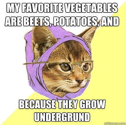 My favorite vegetables are beets, potatoes, and carrots. Because they grow undergrund - My favorite vegetables are beets, potatoes, and carrots. Because they grow undergrund  Hipster Kitty