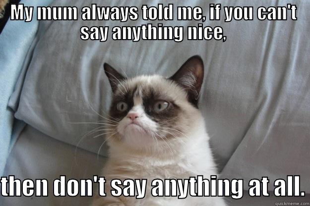 MY MUM ALWAYS TOLD ME, IF YOU CAN'T SAY ANYTHING NICE,  THEN DON'T SAY ANYTHING AT ALL. Grumpy Cat