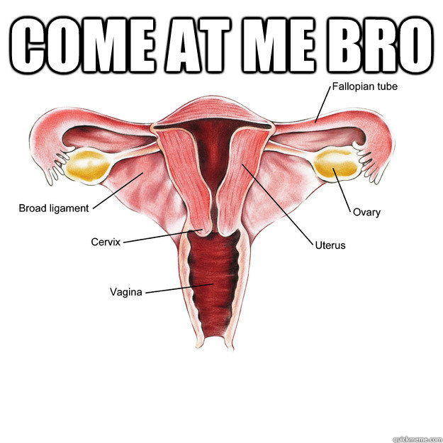 come at me bro   Scumbag Uterus