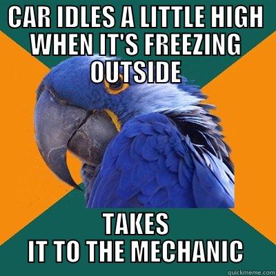 CAR IDLES A LITTLE HIGH WHEN IT'S FREEZING OUTSIDE TAKES IT TO THE MECHANIC Paranoid Parrot