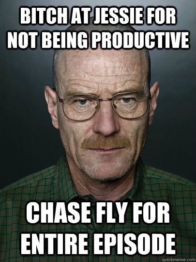 bitch at jessie for not being productive chase fly for entire episode   