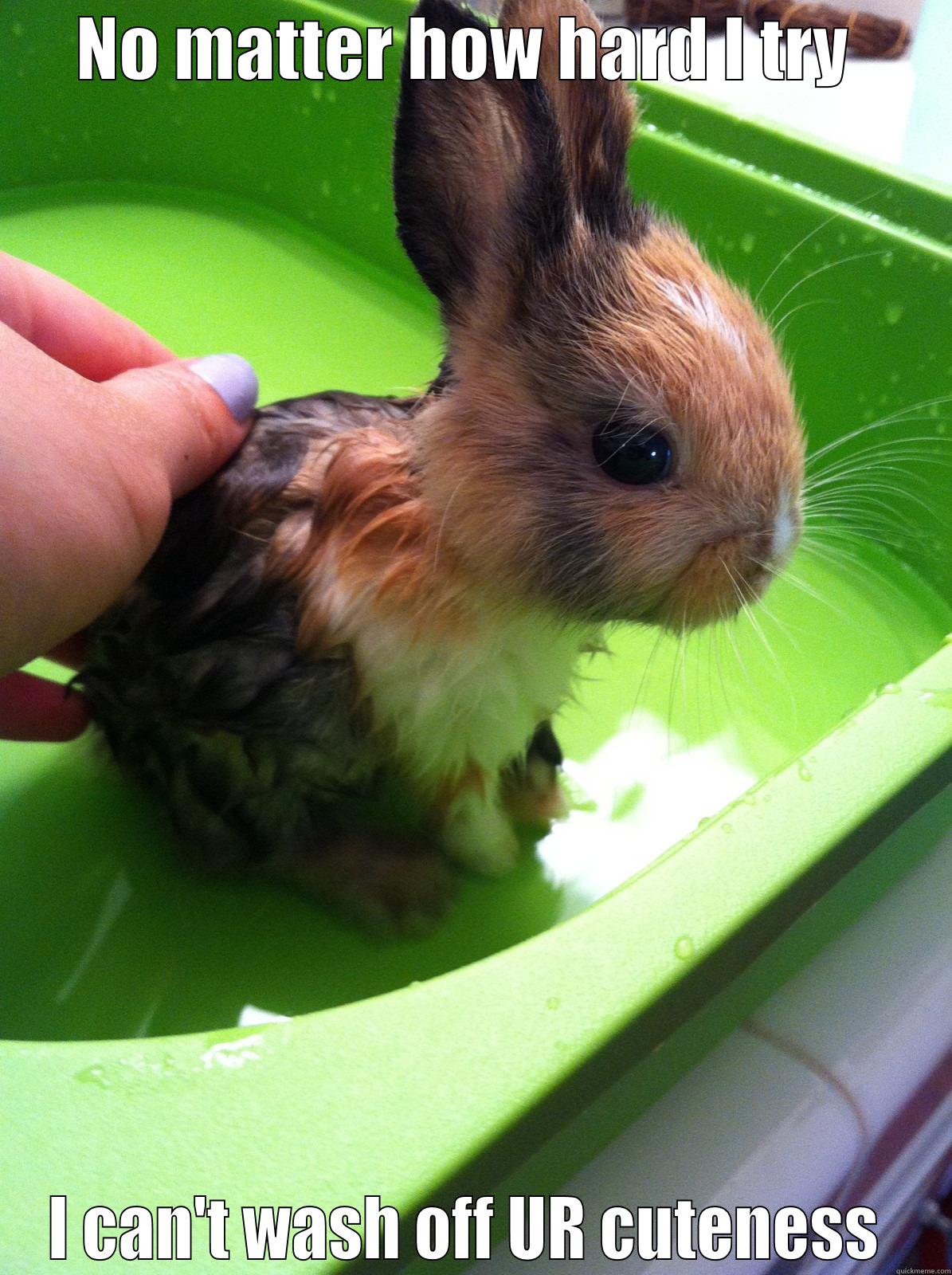 Hunny Bunny  - NO MATTER HOW HARD I TRY  I CAN'T WASH OFF UR CUTENESS  Misc