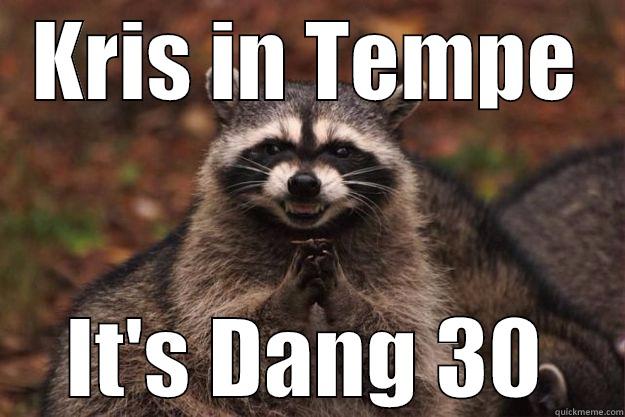 KRIS IN TEMPE IT'S DANG 30 Evil Plotting Raccoon