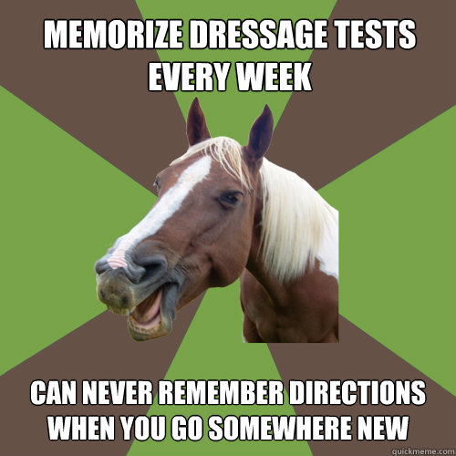 memorize dressage tests every week can never remember directions when you go somewhere new  