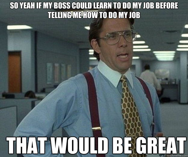 So yeah if my boss could learn to do my job before telling me how to do my job THAT WOULD BE GREAT  that would be great