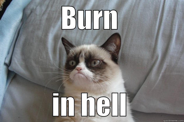 BURN IN HELL Grumpy Cat