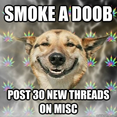 smoke a doob post 30 new threads on misc  Stoner Dog