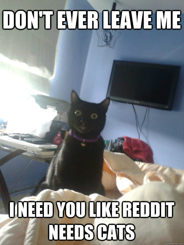 don't ever leave me i need you like reddit needs cats  overly attached cat