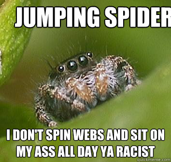 JUMPING SPIDER I don't spin webs and sit on my ass all day ya racist  Misunderstood Spider