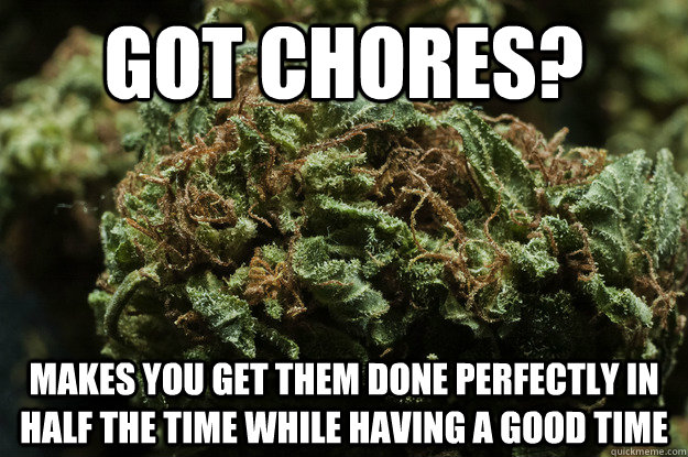 got chores? makes you get them done perfectly in half the time while having a good time  