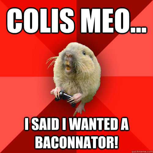 Colis Meo... I said I wanted a baconnator! - Colis Meo... I said I wanted a baconnator!  Gaming Gopher