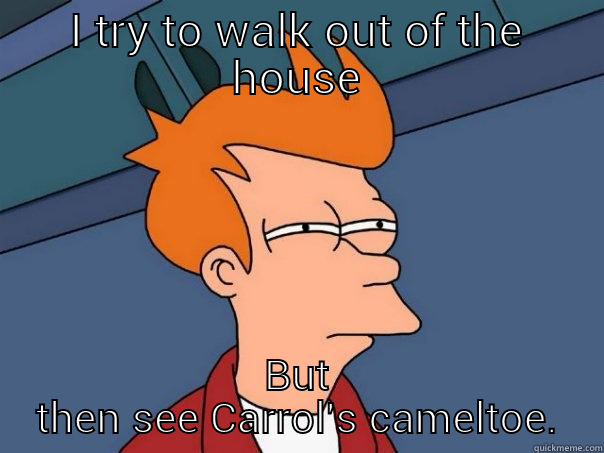 I TRY TO WALK OUT OF THE HOUSE BUT THEN SEE CARROL'S CAMELTOE. Futurama Fry