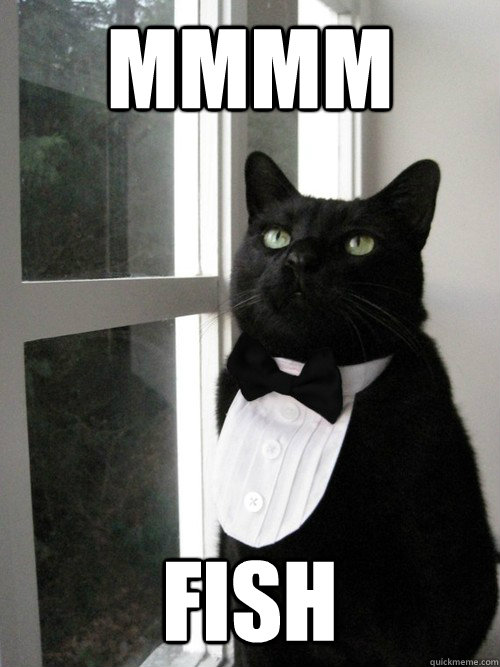 Mmmm Fish  One Percent Cat