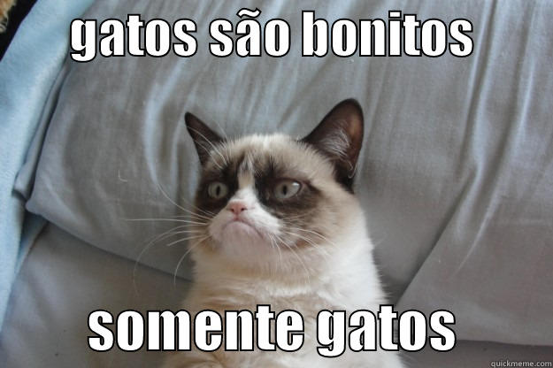 Your title doesn't look funny enough. Be creative! :) -        GATOS SÃO BONITOS                  SOMENTE GATOS         Grumpy Cat