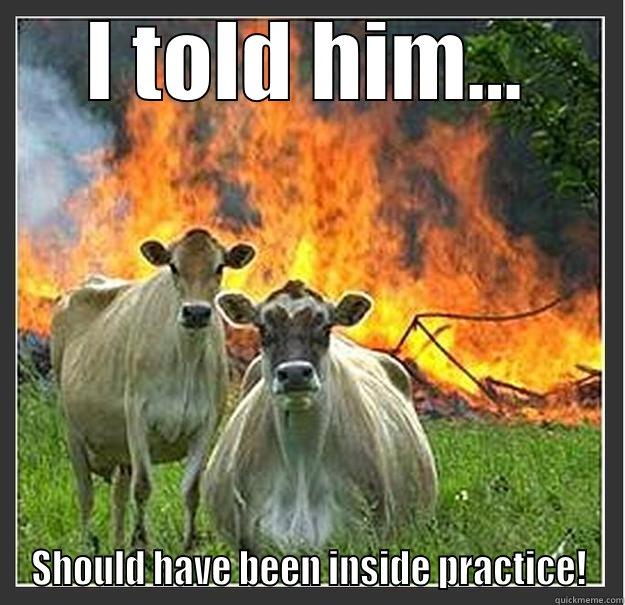 Practice time lol - I TOLD HIM... SHOULD HAVE BEEN INSIDE PRACTICE! Evil cows