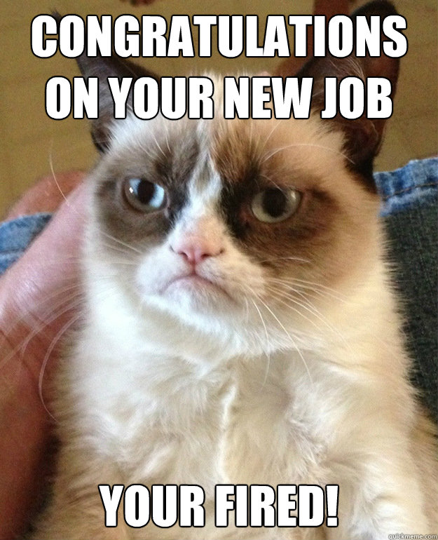 CONGRATULATIONS ON YOUR NEW JOB YOUR FIRED! - CONGRATULATIONS ON YOUR NEW JOB YOUR FIRED!  Misc