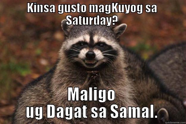 KINSA GUSTO MAGKUYOG SA SATURDAY? MALIGO UG DAGAT SA SAMAL. Evil Plotting Raccoon