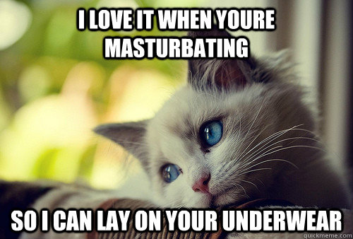 I love it when youre masturbating  so i can lay on your underwear  First World Problems Cat