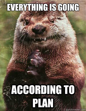 Everything is going According to plan - Everything is going According to plan  scheming otter