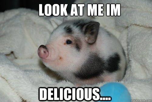 LOOK AT ME IM  DELICIOUS....  cute pig