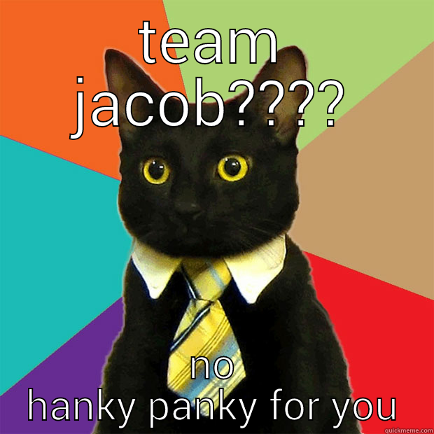 TEAM JACOB???? NO HANKY PANKY FOR YOU Business Cat