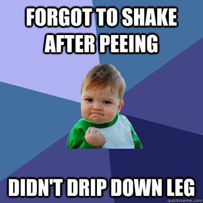 Forgot to shake after peeing didn't drip down leg - Forgot to shake after peeing didn't drip down leg  Success Kid