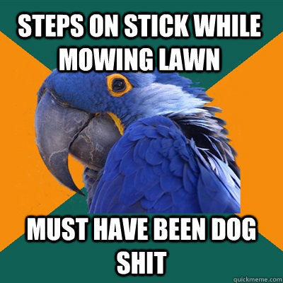 Steps on stick while mowing lawn Must have been dog shit  Paranoid Parrot