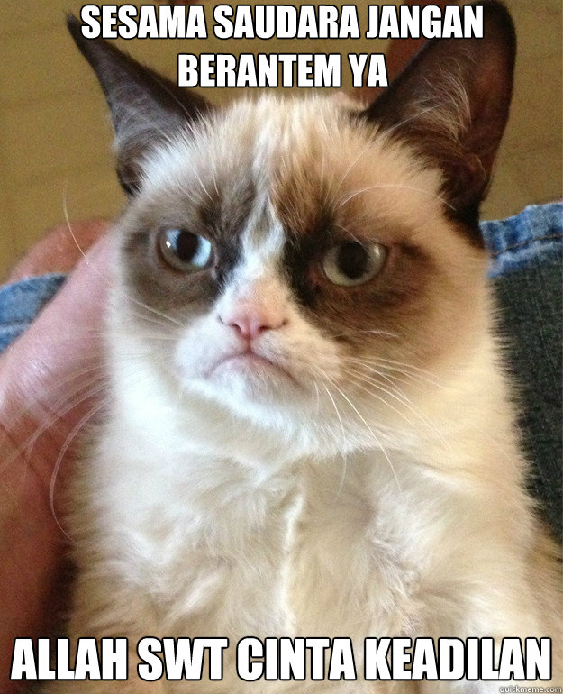 sesama saudara jangan berantem ya Allah SWT cinta keadilan  Grumpy Cat