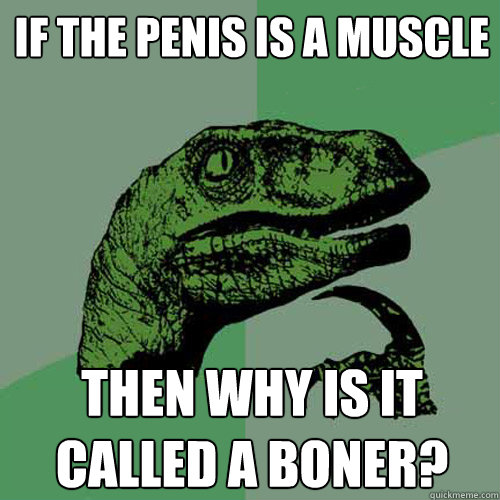 If the penis is a muscle then why is it called a boner?  Philosoraptor