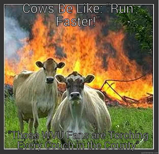 COWS BE LIKE: 