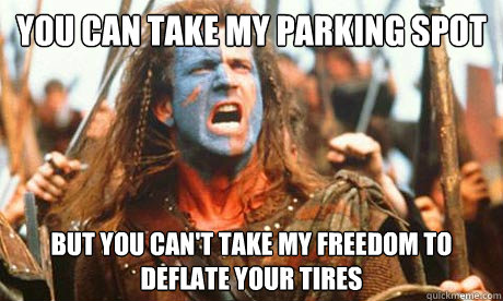 You Can take my Parking Spot But you can't take my Freedom to deflate your tires  Freedom Fighter