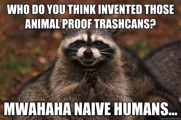 Who do you think invented those animal proof trashcans? mwahaha naive humans... - Who do you think invented those animal proof trashcans? mwahaha naive humans...  Evil Plotting Raccoon